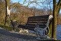 Cast iron bench, park, Castle over the lake, Nevsvizh castle - palace and castle complex, Minsk region, Royalty Free Stock Photo